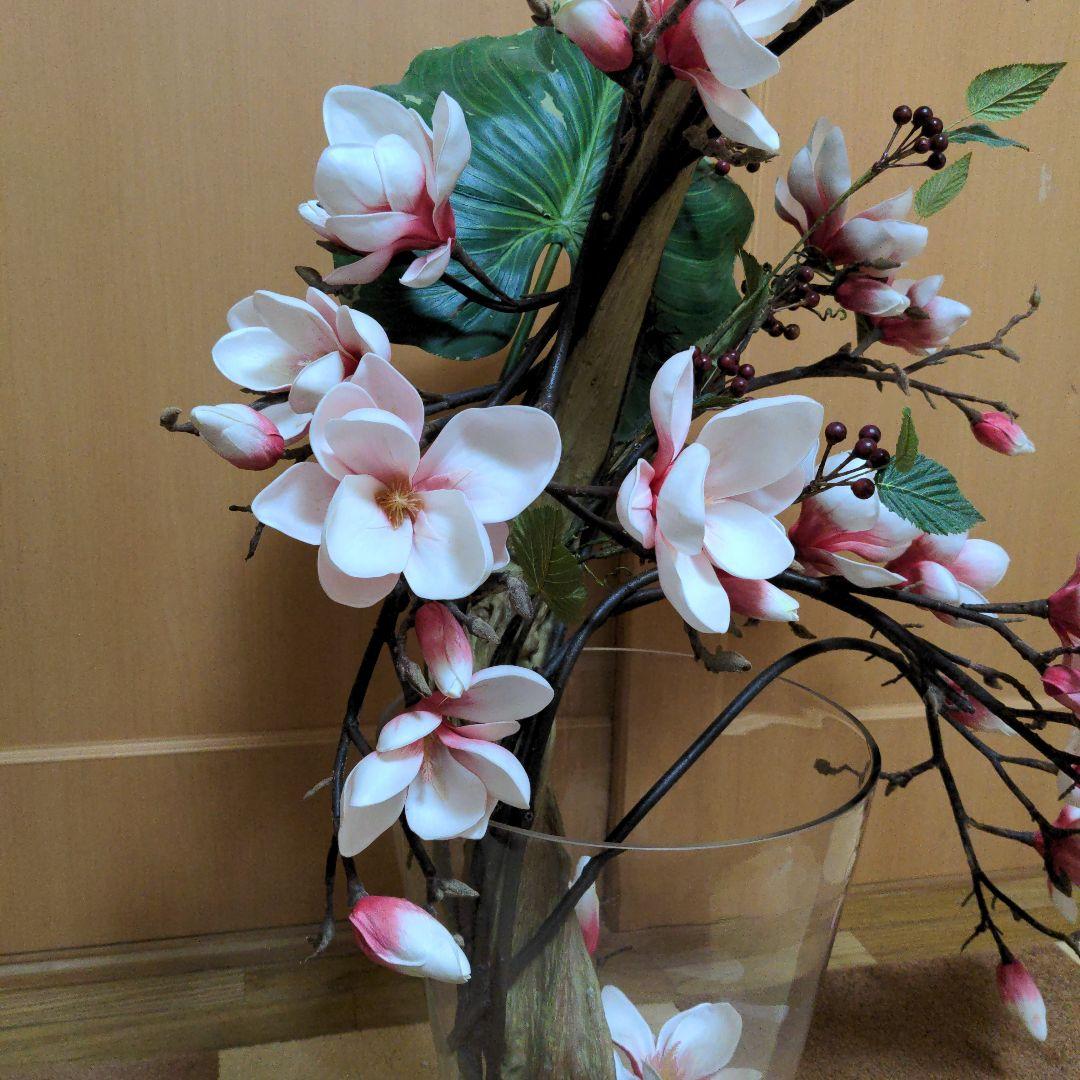 エミリオ・ロバ　モクレン　マグノリア