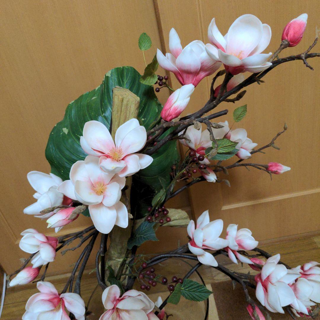 エミリオ・ロバ　モクレン　マグノリア