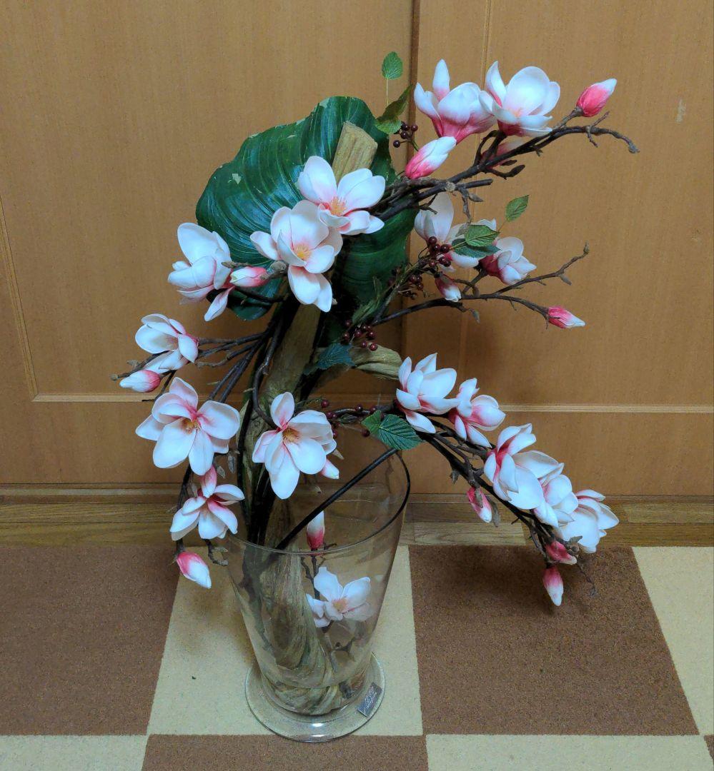 エミリオ・ロバ　モクレン　マグノリア