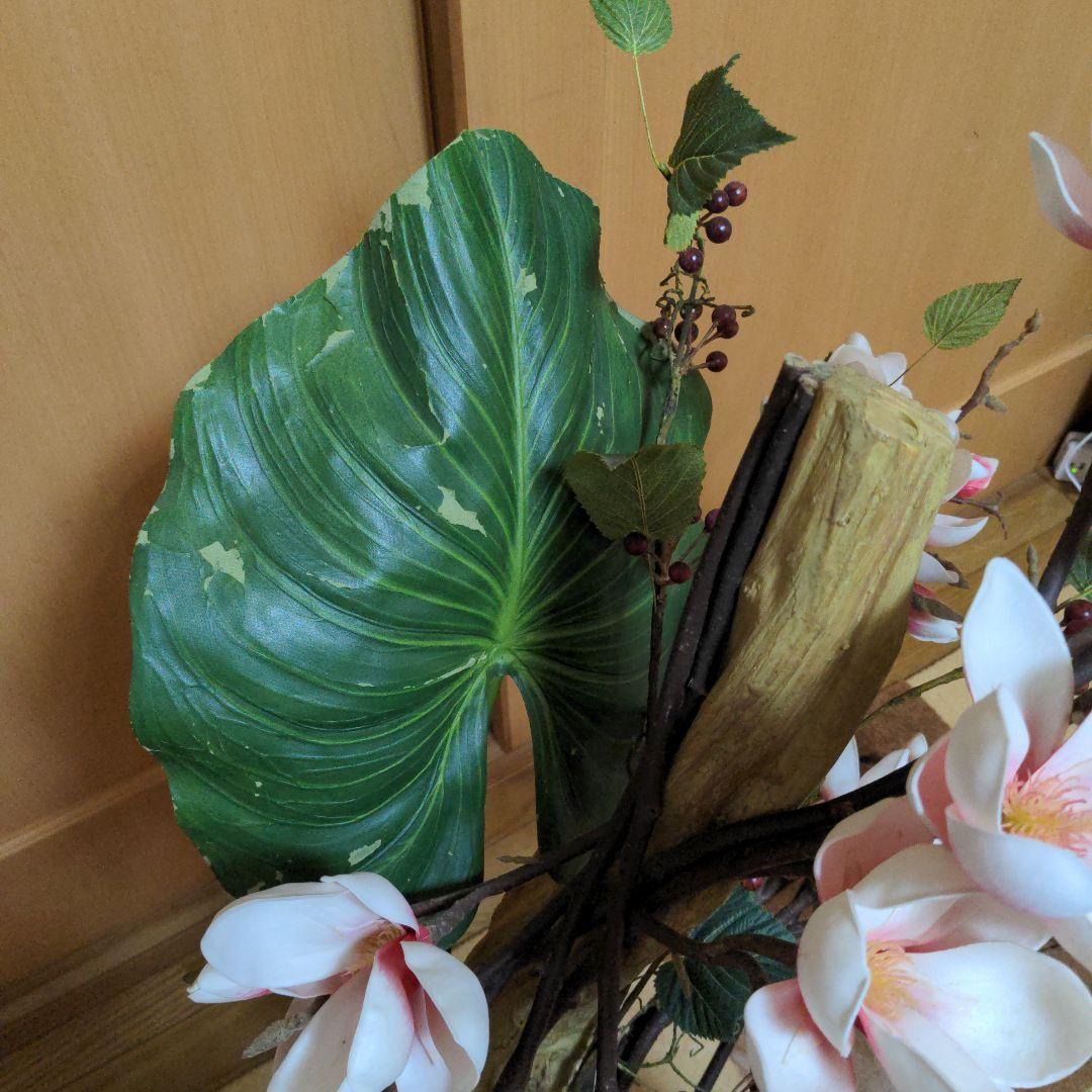 エミリオ・ロバ　モクレン　マグノリア