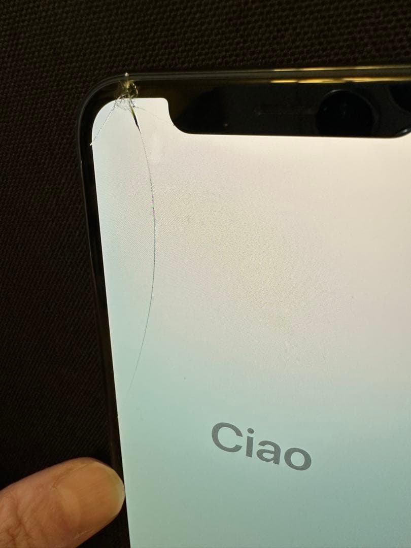 iPhoneX ジャンク