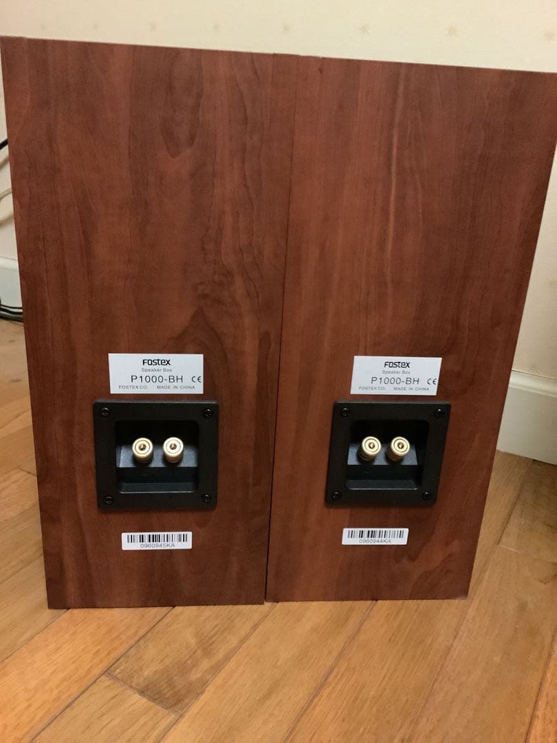 Fostex P1000-BH E1000-BH スピーカー