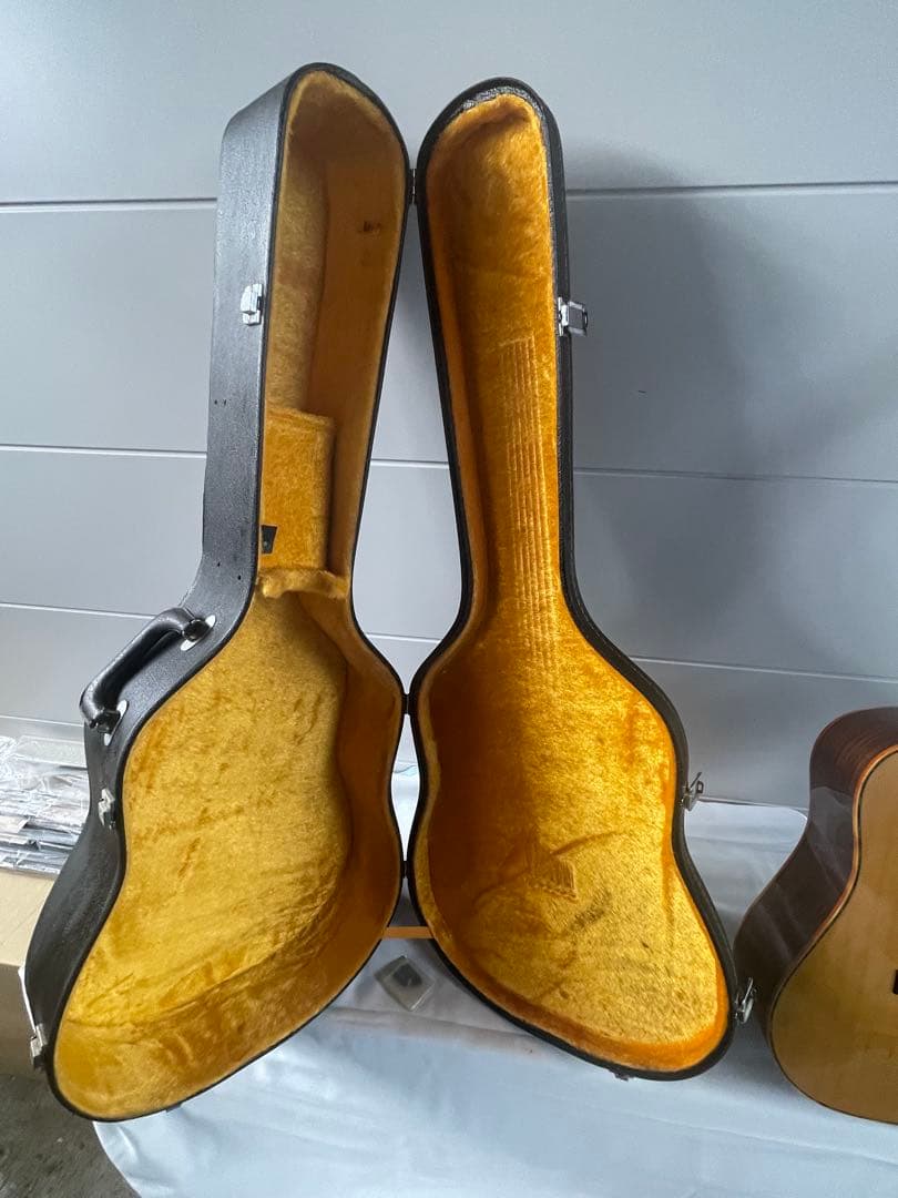 Hillbilly アコースティックギター 。ハードケース付き