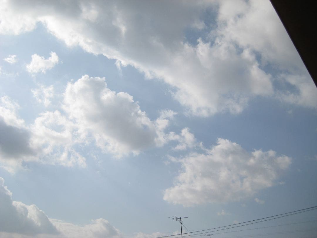 キャノン IXY Digital 10 デジタル カメラ