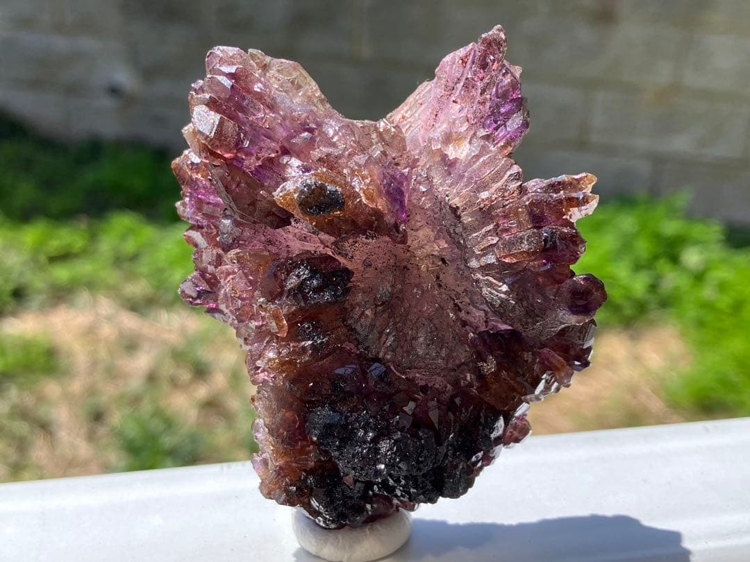 ウサマメ　レッドファントムクォーツ画像追加