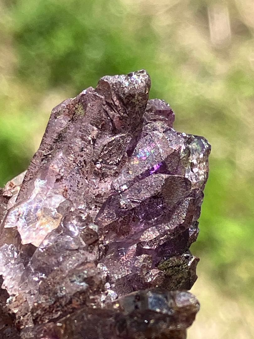 ウサマメ　レッドファントムクォーツ画像追加