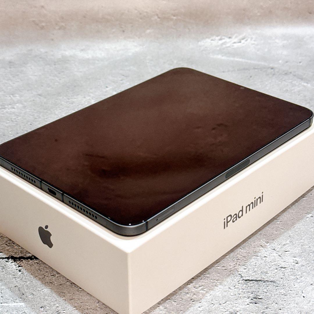 【美品】iPad mini 6 256GB Wi-Fi Cellular