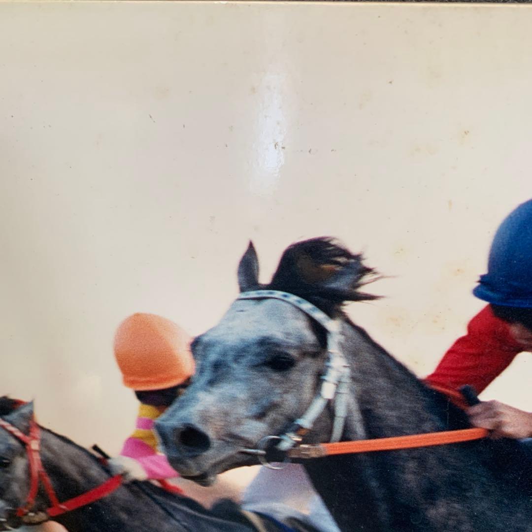 オグリキャップ　パネル　武豊　2枚セット　有馬記念　ジャパンカップ　競馬