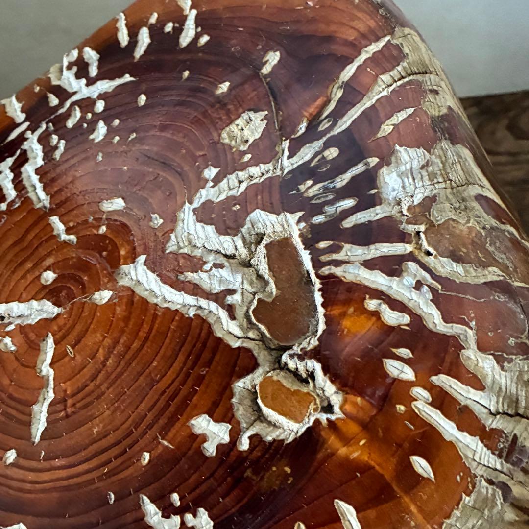 ヴィンテージ 天然木 切り株 根張り スツール プランター サイドテーブル