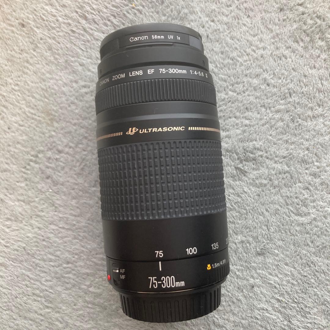 canon eos 55 カメラ