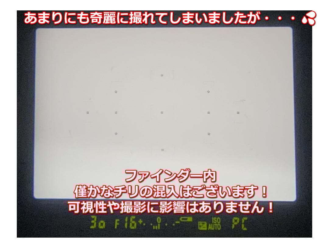 【専用】S約4,000回！Nikon D5100★55mm-200mmレンズ