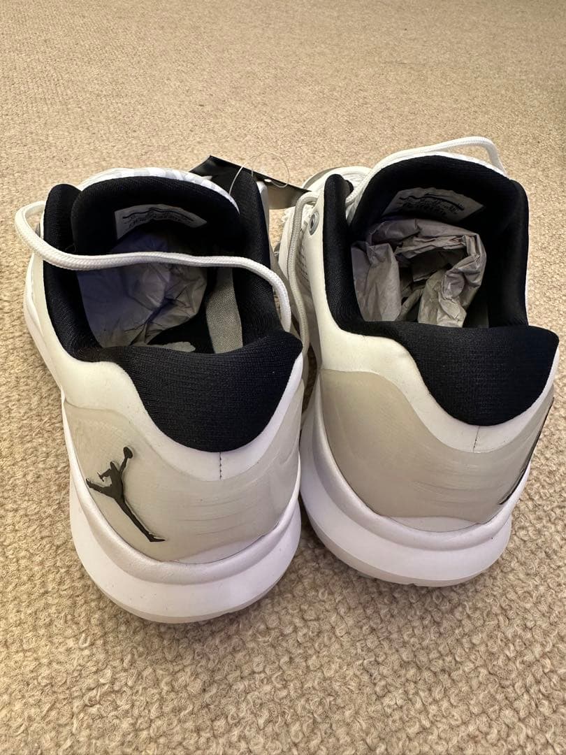 Nike Jordan ゴルフシューズ ホワイト/グレー