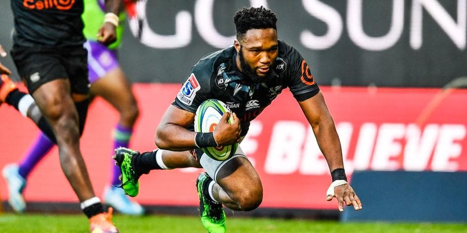 ラグビー 選手支給ジャージ 南アフリカ シャークス L 新品 背番号8 #3