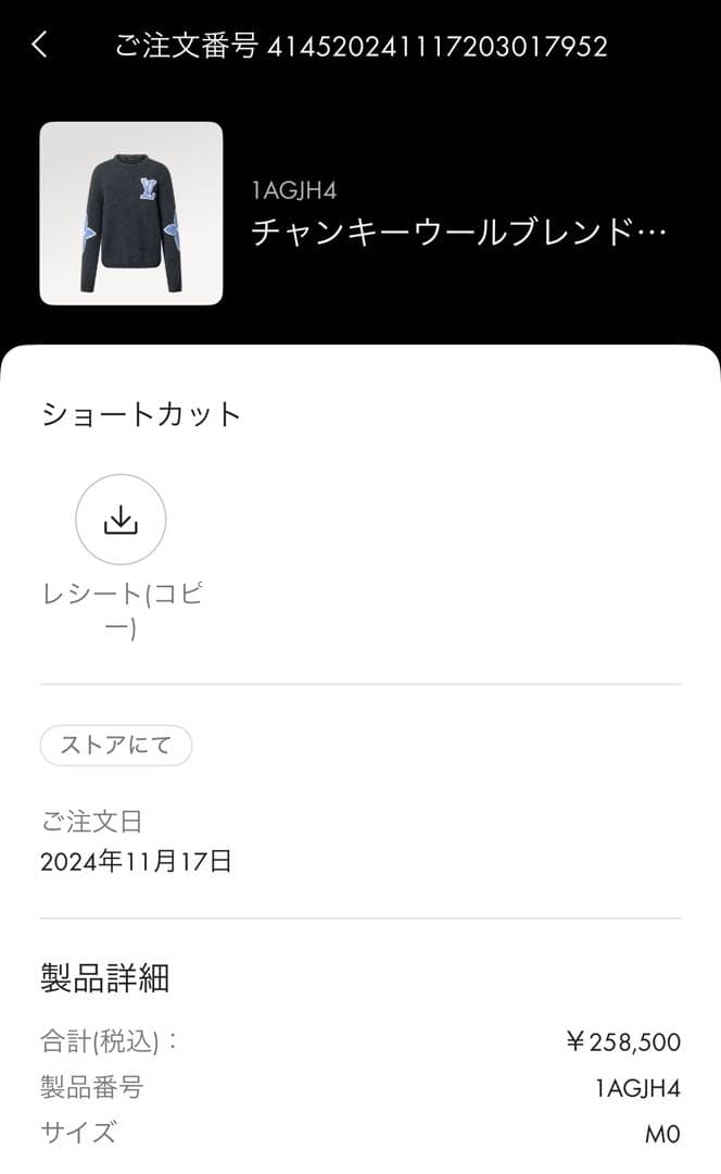 LOUIS VUTTON チャンキーウールブレンドニット　M