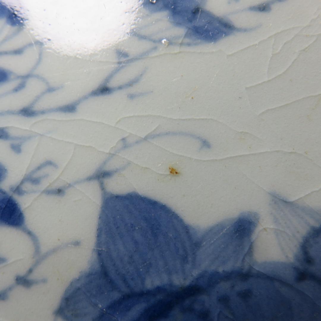 古伊万里 中皿 染付 4枚 甘手 蛤チップ 歪み 貫入 獅子 江戸