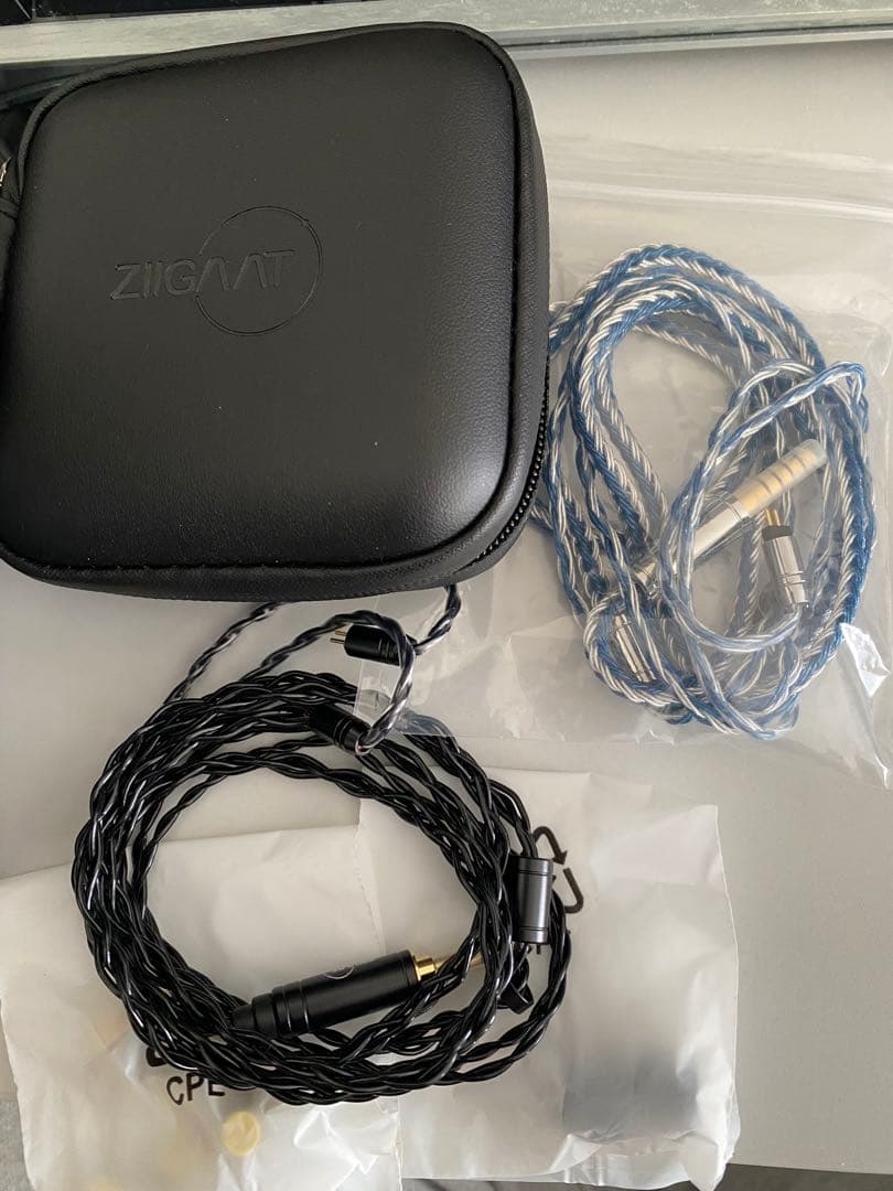 イヤホン ZiiGaat Fresh Reviews Arete