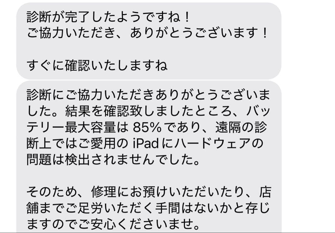 iPad本体 iPad pro12.9 256GB Wi-Fi + Cellular