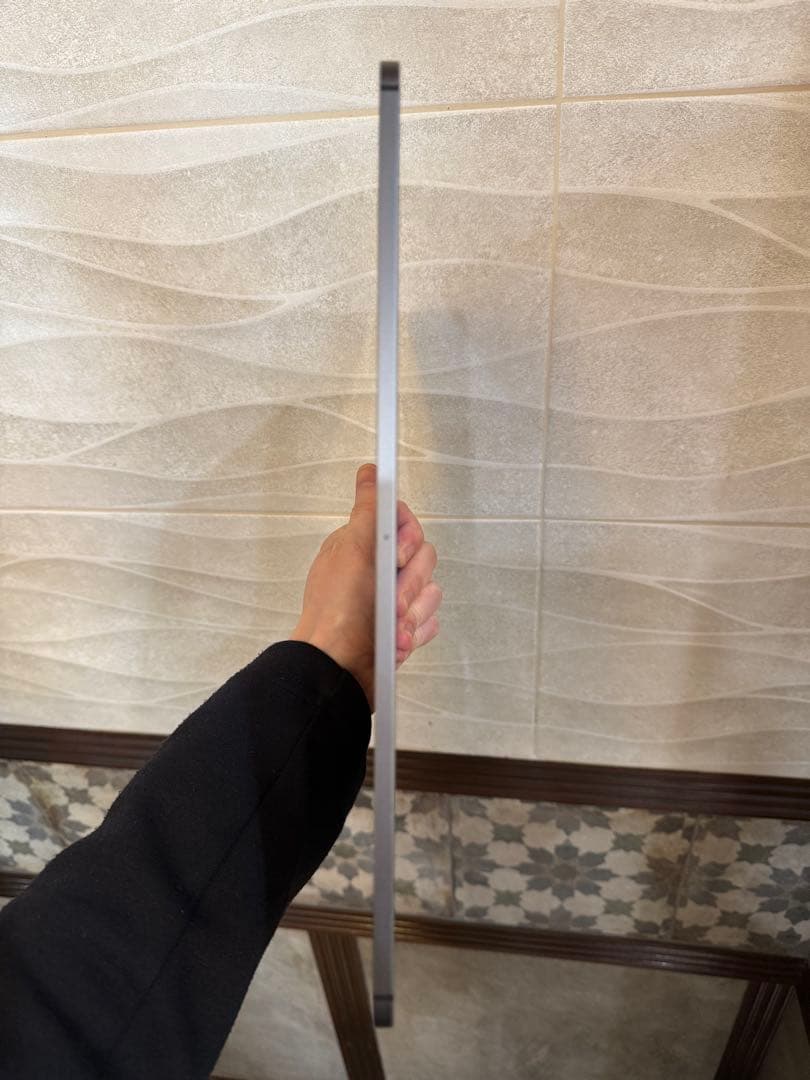 iPad本体 iPad pro12.9 256GB Wi-Fi + Cellular