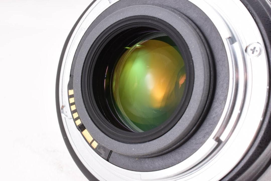 【最高峰】Canon キヤノン EF-S 17-55mm F2.8 IS USM