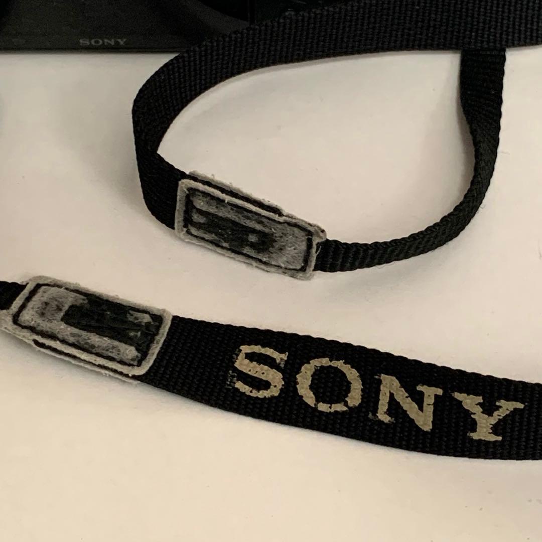 デジカメ　SONY Cyber-shot DSC-HX200V