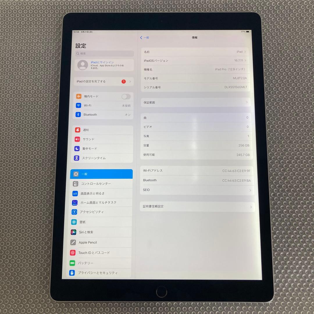 2646 外観美品☆iPad Pro 256GB 12.9インチ WIFIモデル