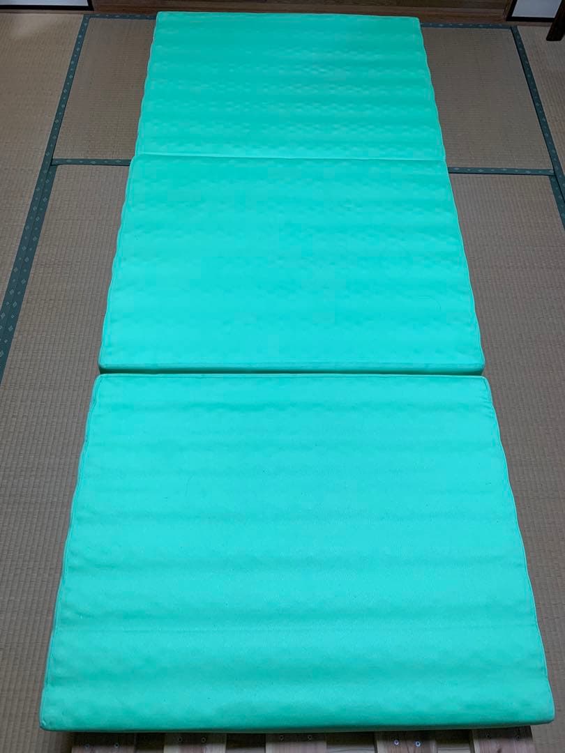 ヘルスウェーブゴールドすややか　D.C.Verジュニア