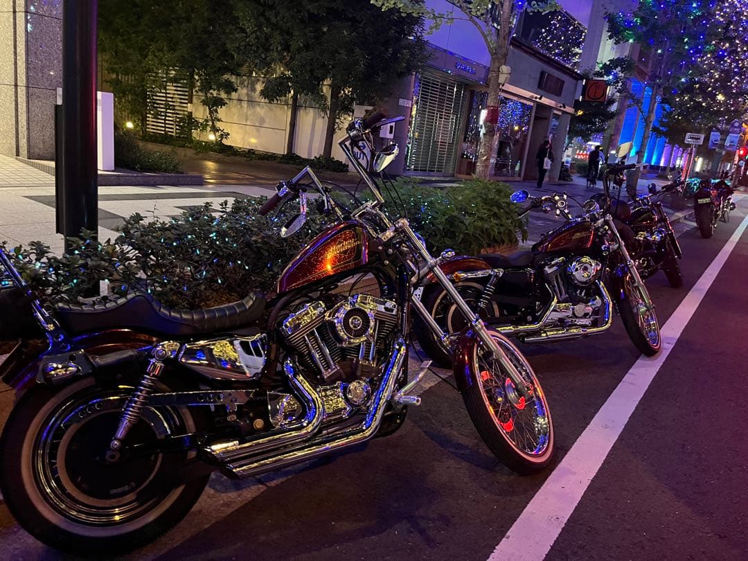 バンス＆ハインズ　ショートショット　鼓動バッフル装着済　スポーツスター