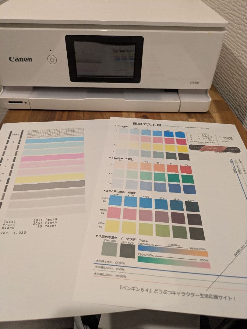 ⑥キッズ♡mama 専用 PIXUS TS 8530