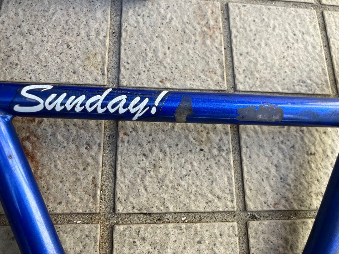 Sunday! GARY YOUNG EX BMX フレームセット 青 20