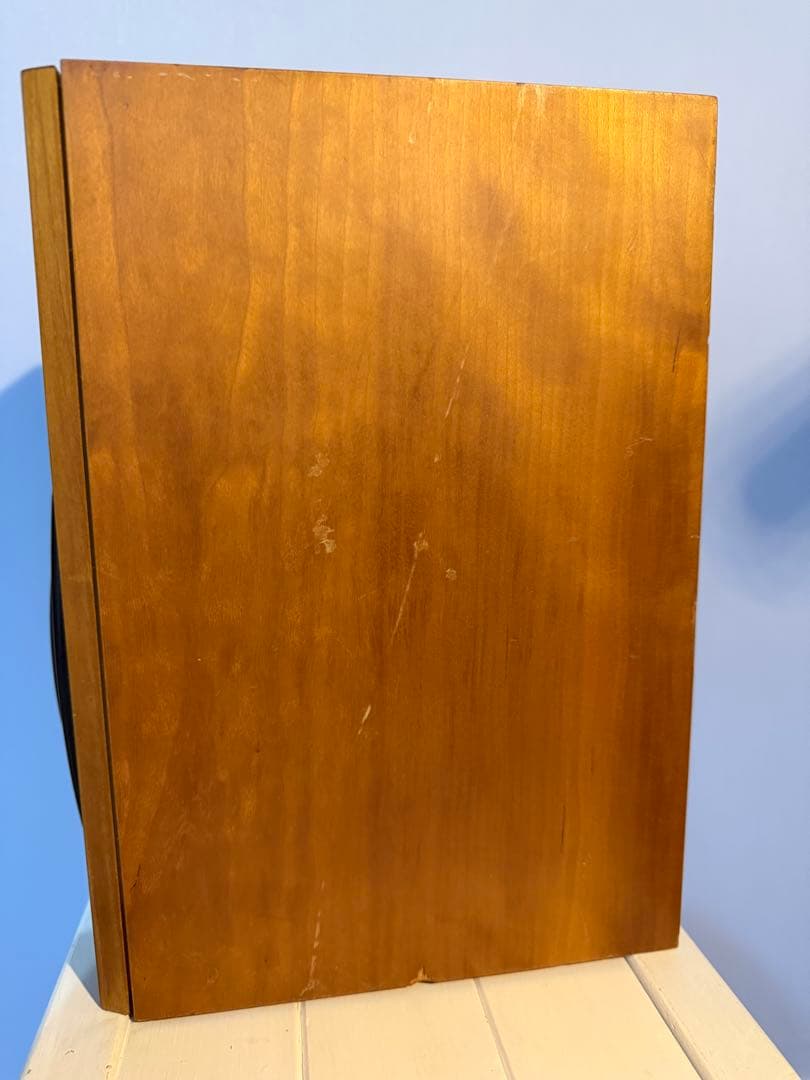 スピーカー・ウーファー zappamanTANNOY revolution r1