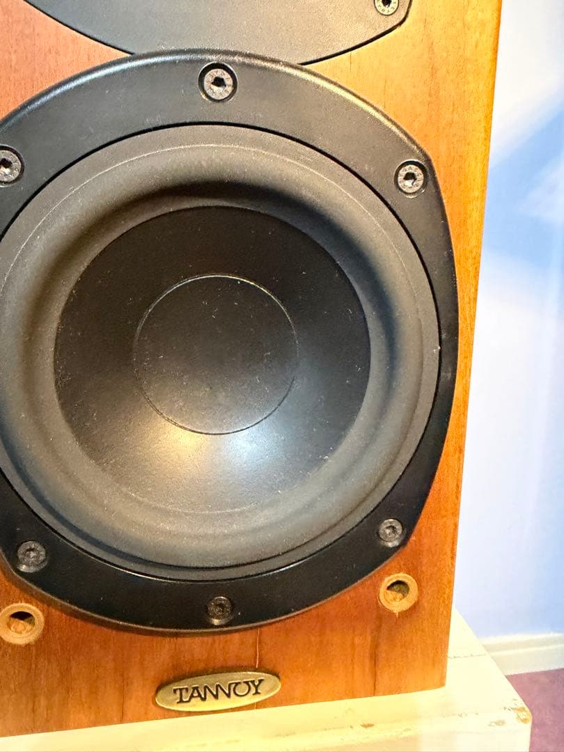 スピーカー・ウーファー zappamanTANNOY revolution r1