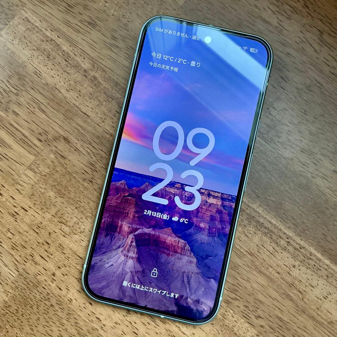 【外装液晶美品】Google Pixel 9 128GB ジャンク品　放電