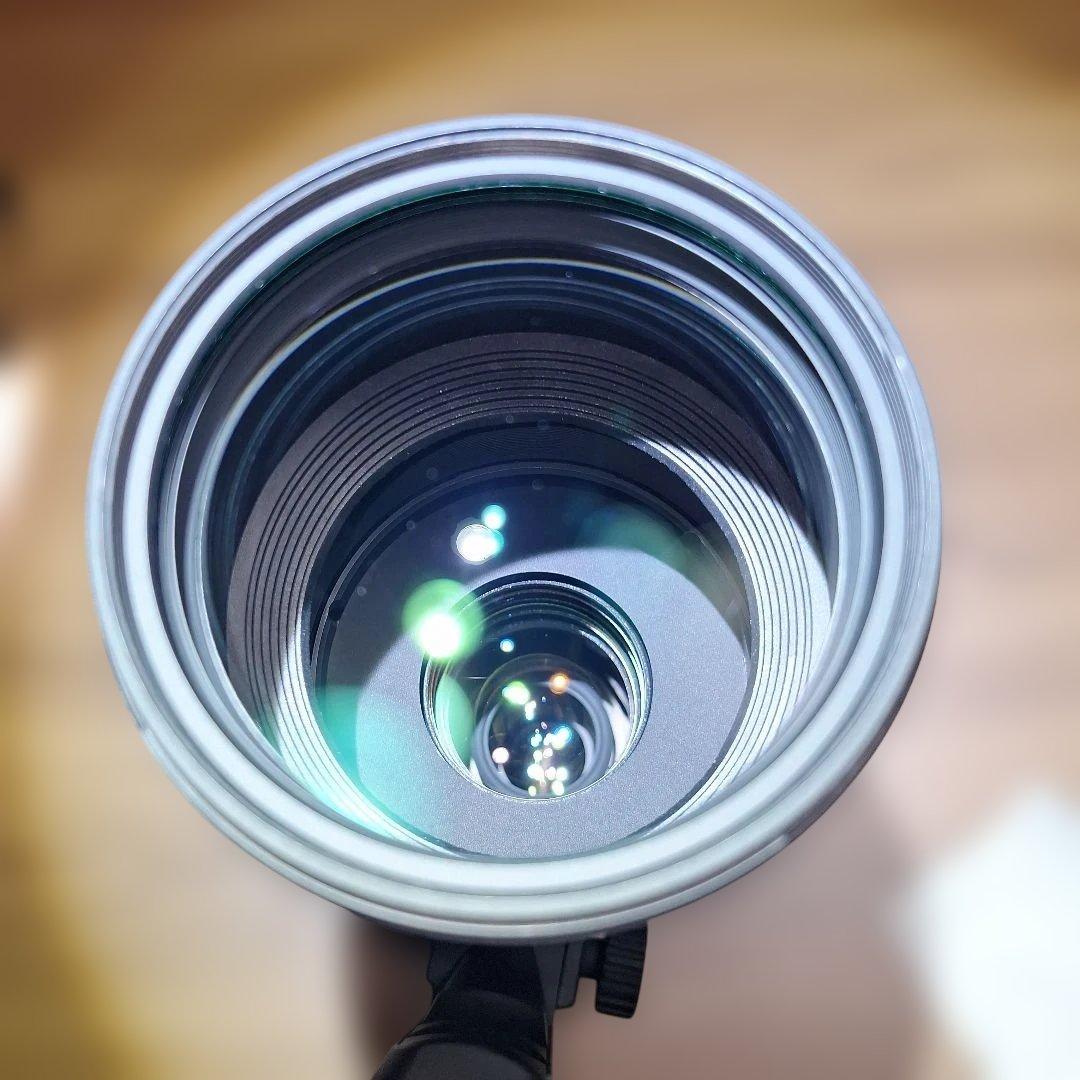 ★SIGMA★シグマ★APO150-500F5-6.3DG