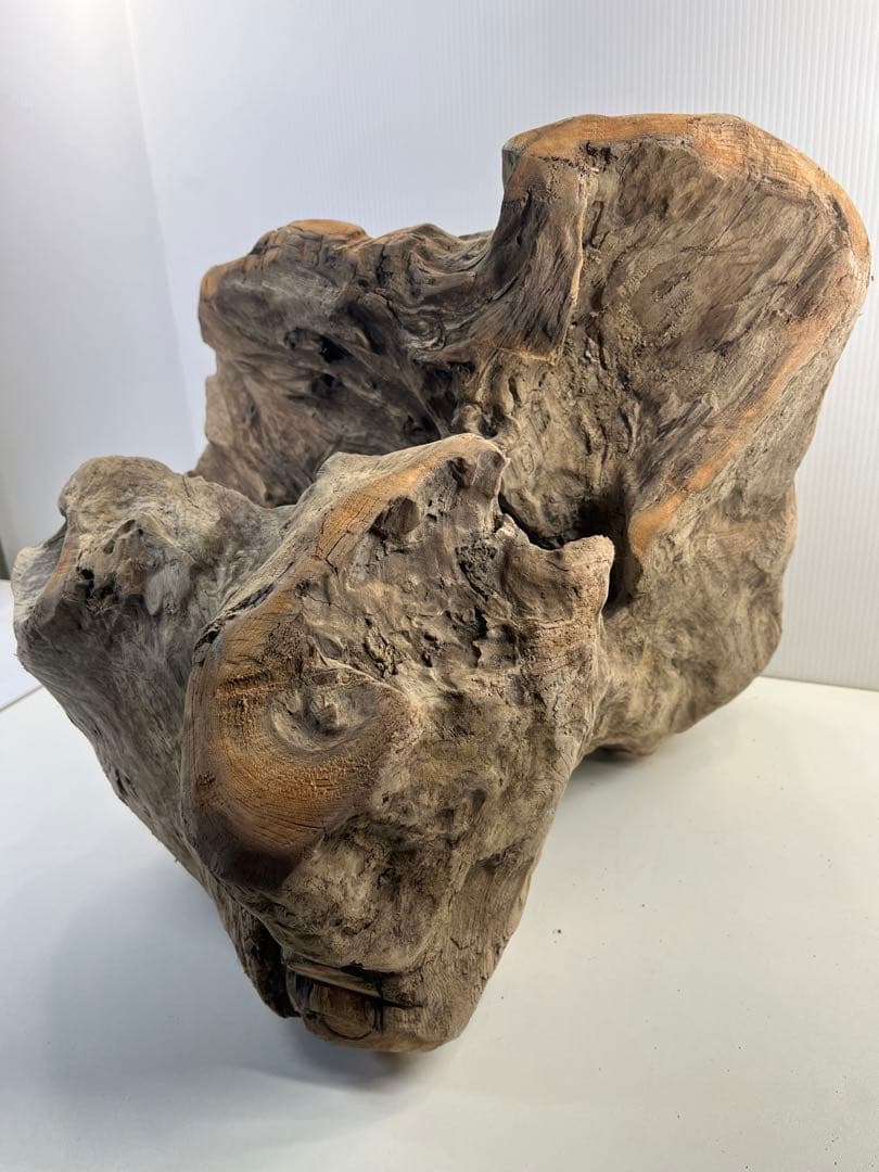 k64大型流木 アク抜き済み 爬虫類シェルター レイアウト用 登り木 インテリア