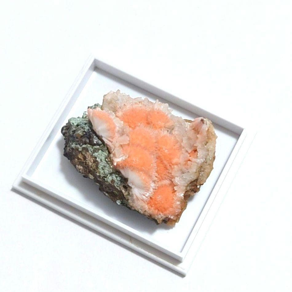 メソライト 2：カダクワニ（インド）