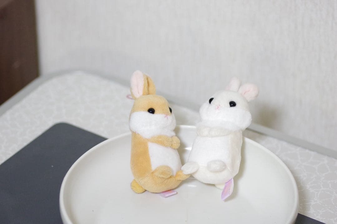 PENTAX D-FA 100 mm f/2,8 Macro WR マクロレンズ