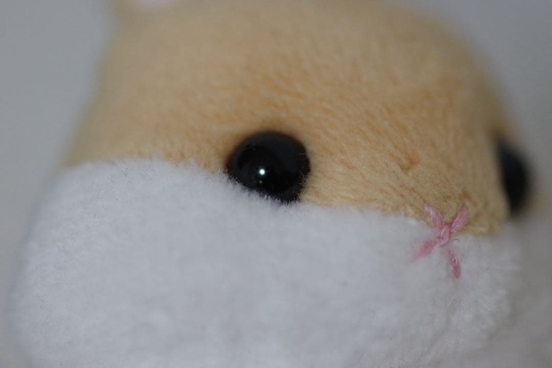 PENTAX D-FA 100 mm f/2,8 Macro WR マクロレンズ