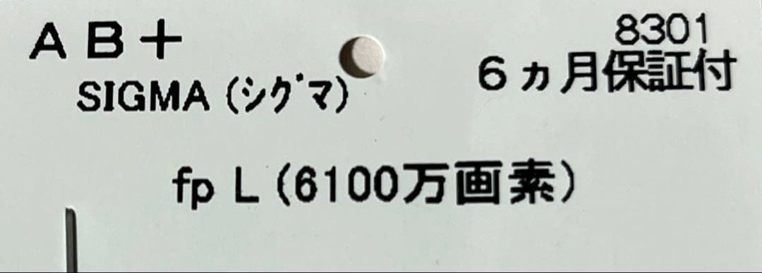 SIGMA fp L ＋ 45mmレンズ