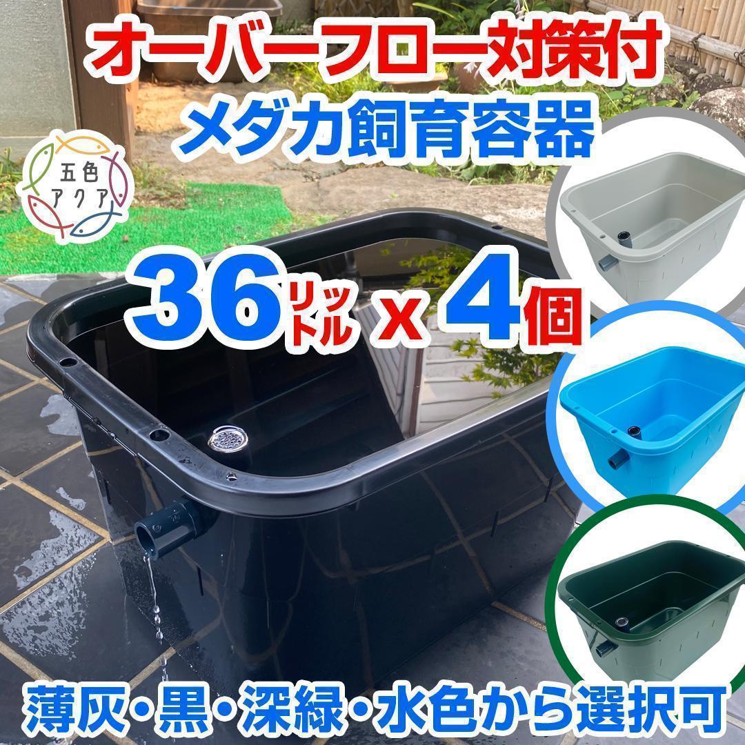 【限定特価】メダカ飼育ケース 36㍑x4個（4色あり）大雨対策付 金魚飼育容器