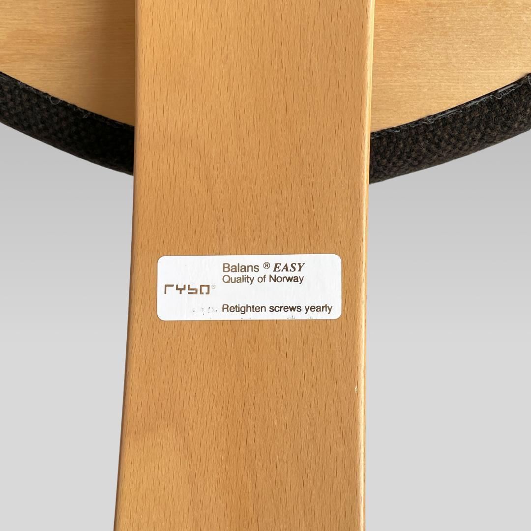 【Rybo】リボ社 balans Easy バランスイージー バランスチェア