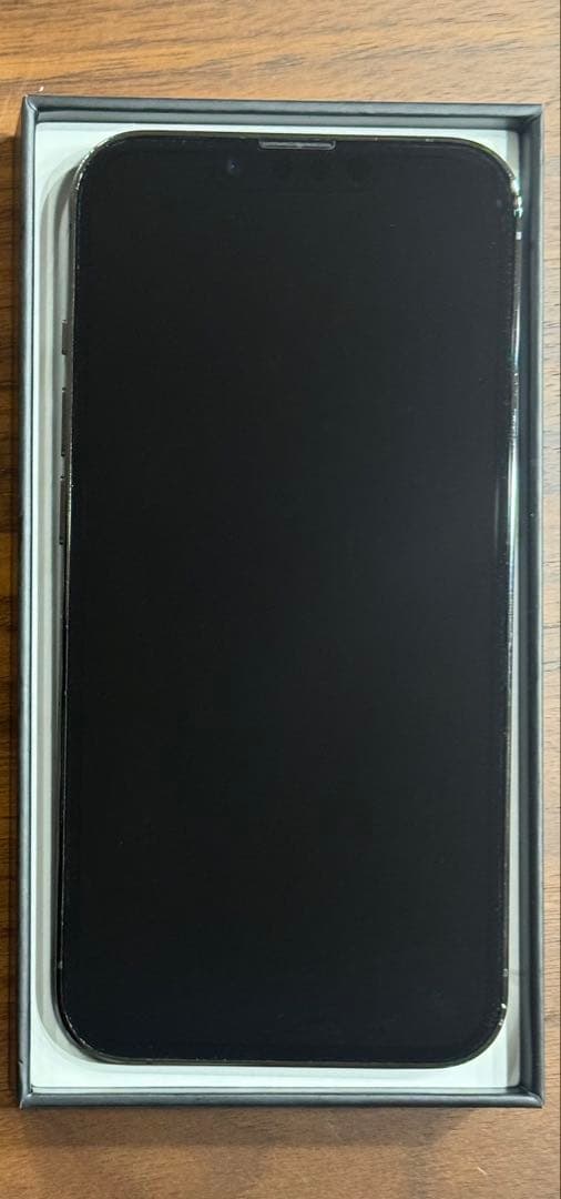 【美品】iPhone13 Pro 256G 海外版 グラファイト シャッター音無