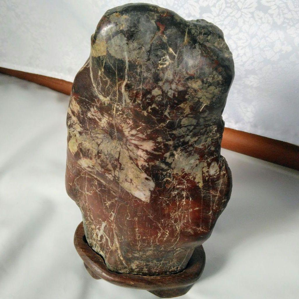 ☆菊花石☆観賞石☆置物