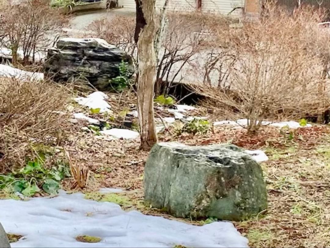 庭石 大 約90×50×45㎝ まとめ割