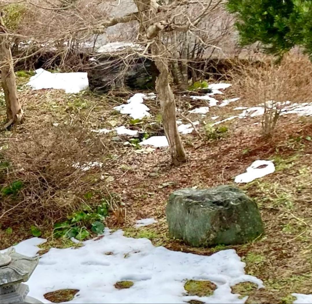 庭石 大 約90×50×45㎝ まとめ割