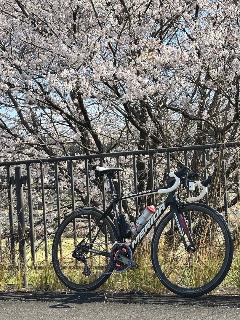 自転車本体 MERIDA SCULTURA team S/M r8150 di2 6.5kg