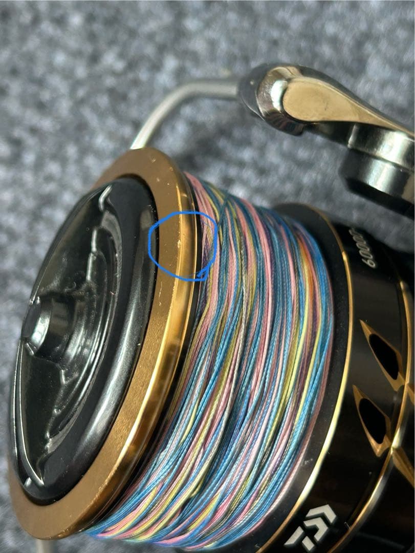 リール DAIWA CALDIA SW 6000D-H