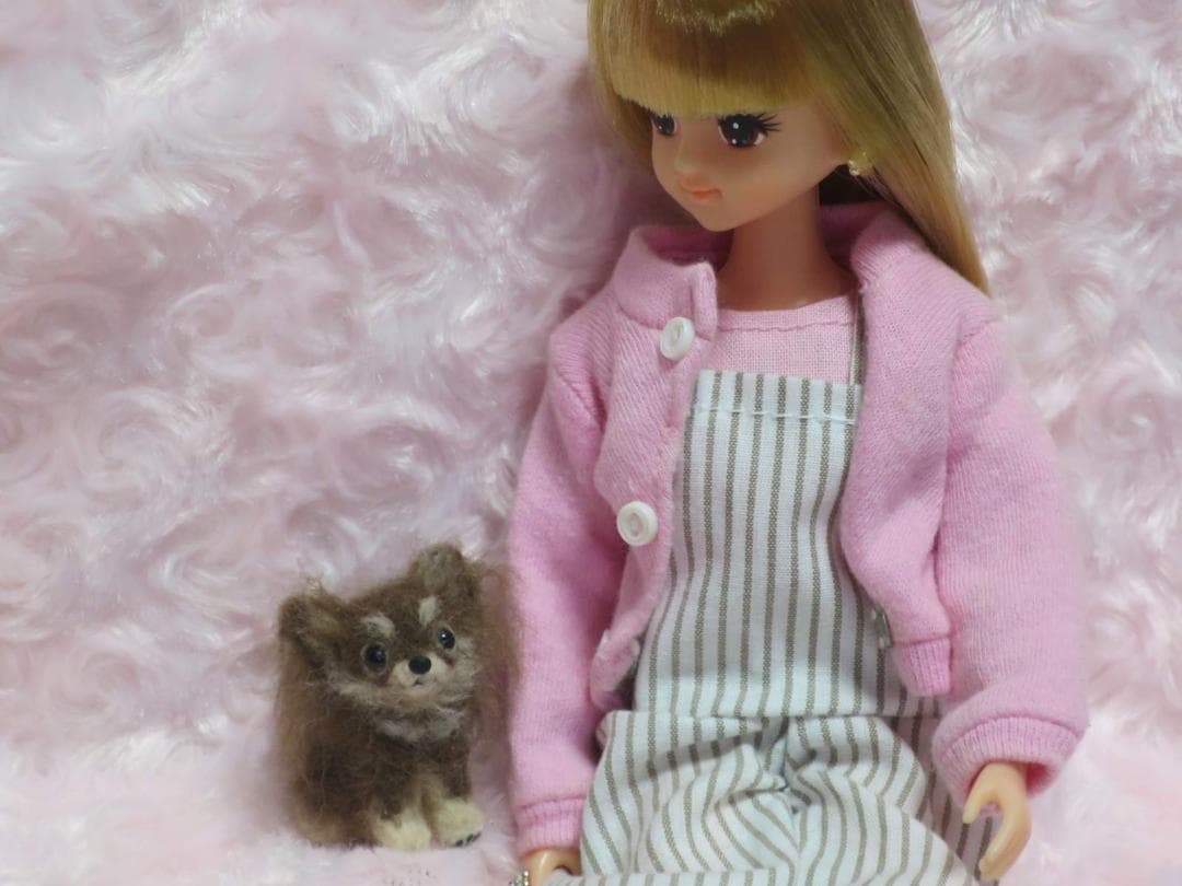 羊毛フェルト 犬 チワワ チョコタン パーティーカラー ミニチュアドールハウス