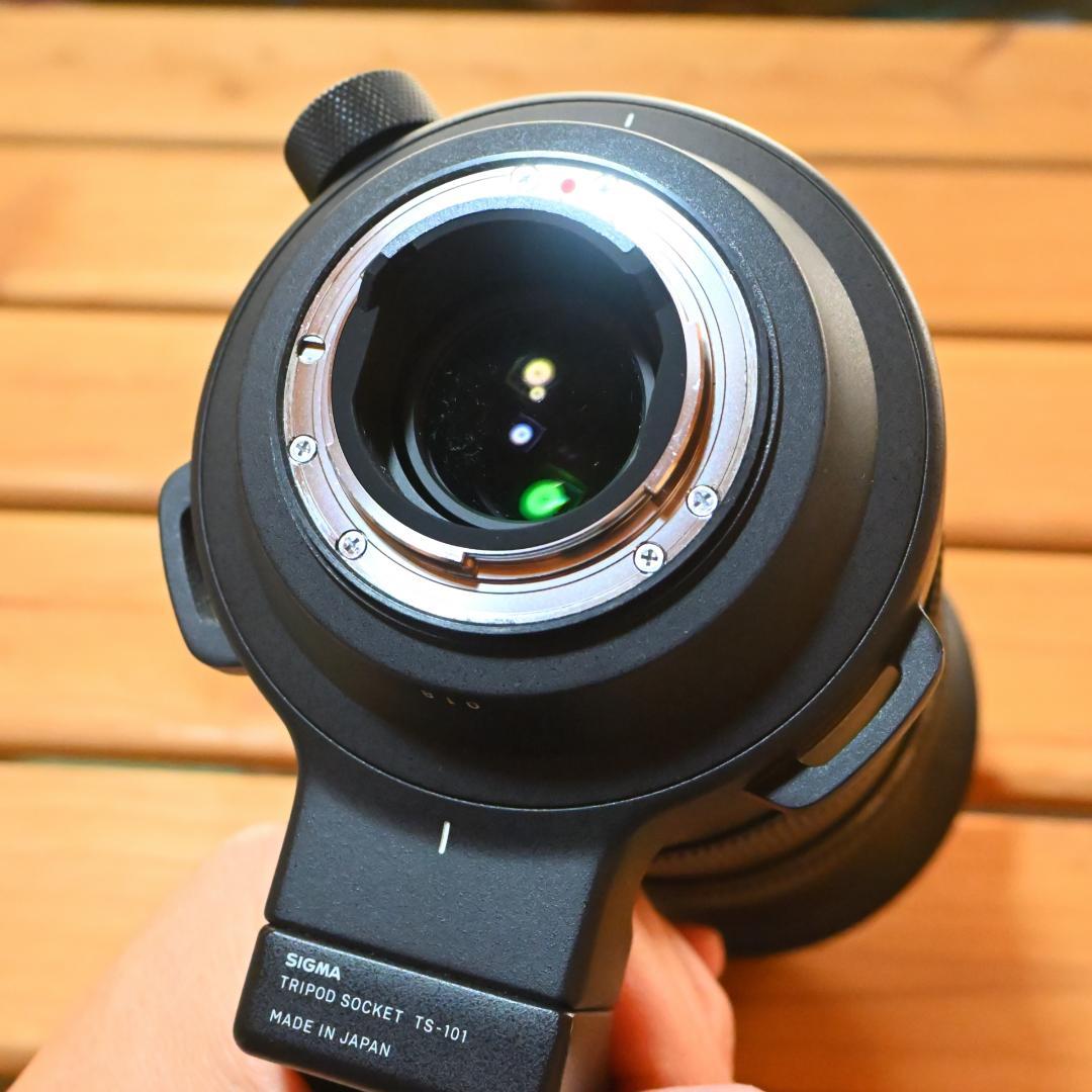 シグマSports60-600mm F4.5-6.3 DG OS HSM ニコン