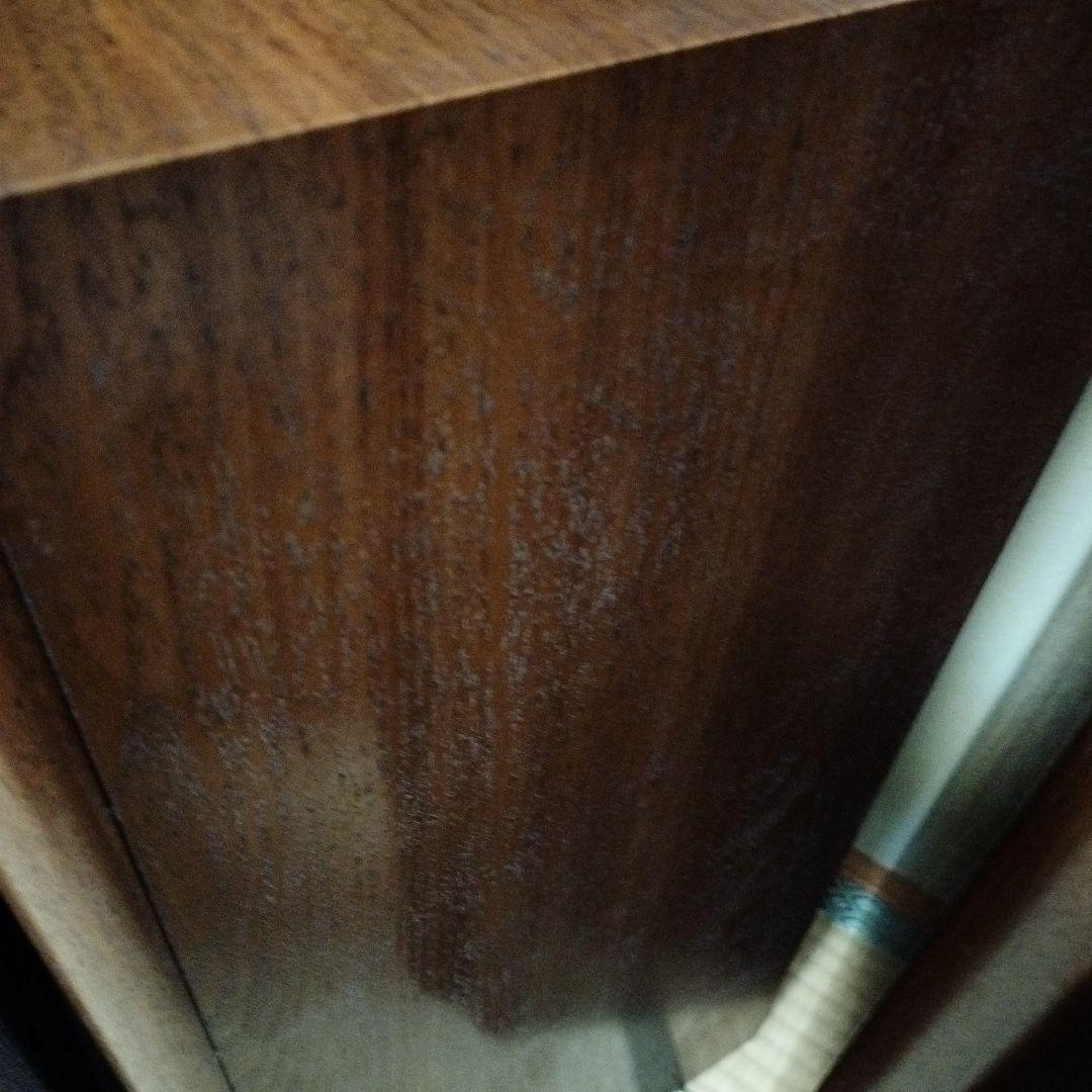 DIATONE DS-66Z スピーカー