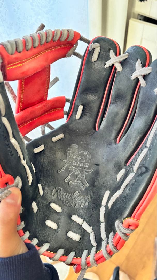 Rawlings 硬式野球グローブ レッド/ブラック